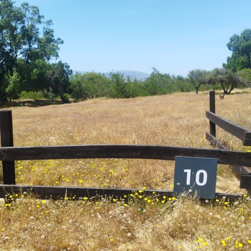 WhatsApp Image 2025-12-02 at 10.55.22-3