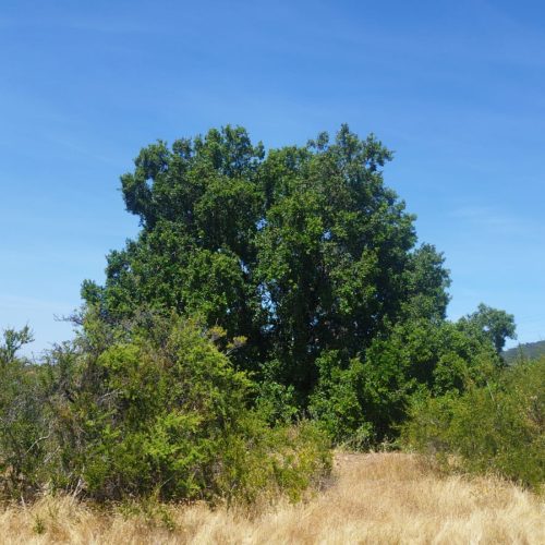 WhatsApp Image 2025-12-02 at 10.55.23-2