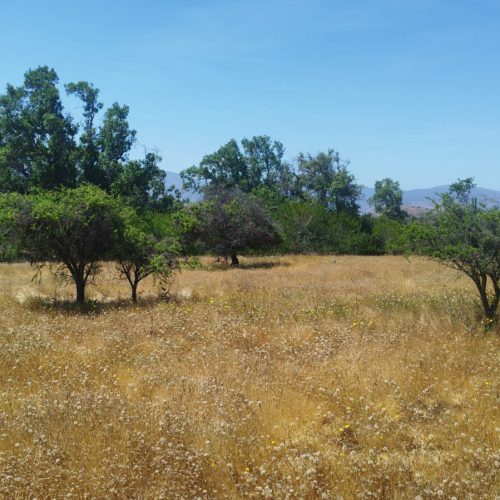 WhatsApp Image 2025-12-02 at 10.55.23-3