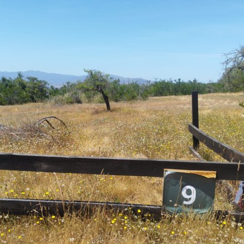 WhatsApp Image 2025-12-02 at 10.55.24-2