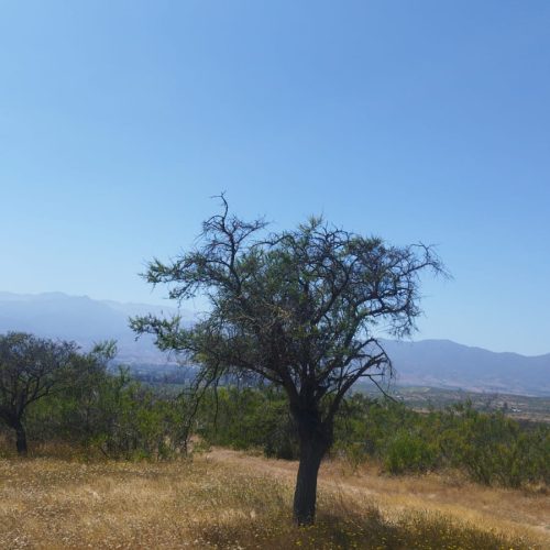 WhatsApp Image 2025-12-02 at 10.55.24-3