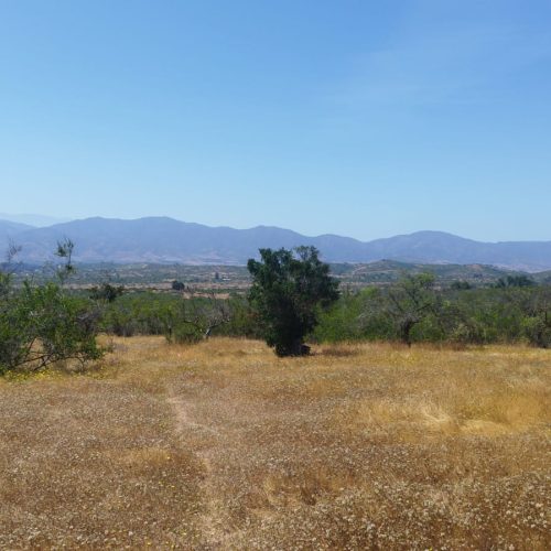 WhatsApp Image 2025-12-02 at 10.55.24-4