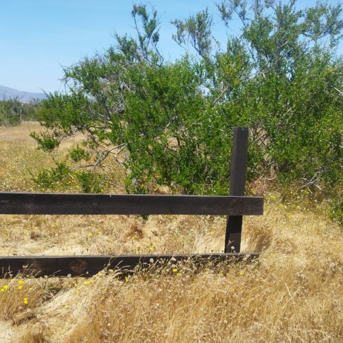 WhatsApp Image 2025-12-02 at 10.55.24