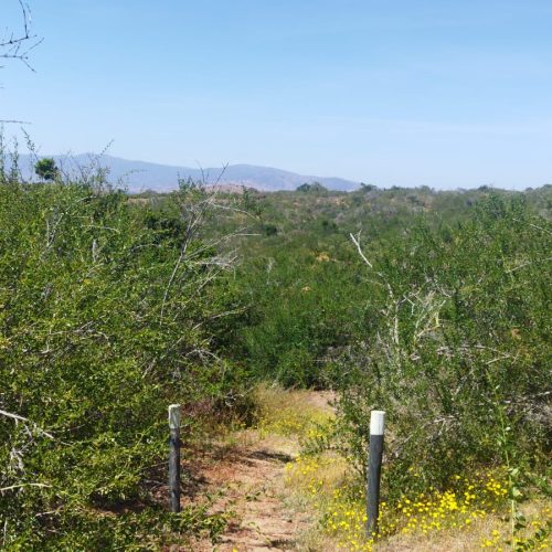 WhatsApp Image 2025-12-02 at 10.55.25-2