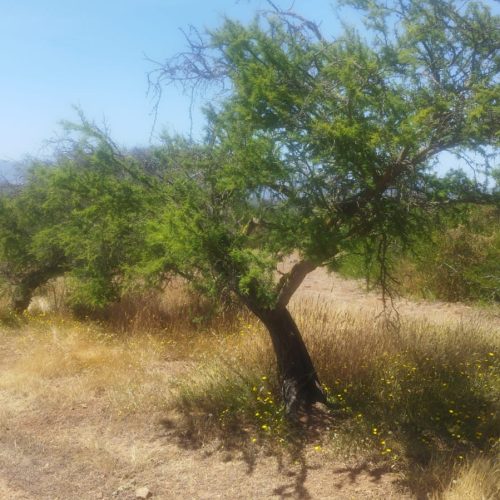 WhatsApp Image 2025-12-02 at 10.55.25-3