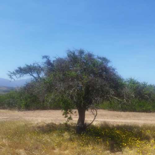 WhatsApp Image 2025-12-02 at 10.55.26-2