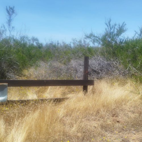 WhatsApp Image 2025-12-02 at 10.55.26-3