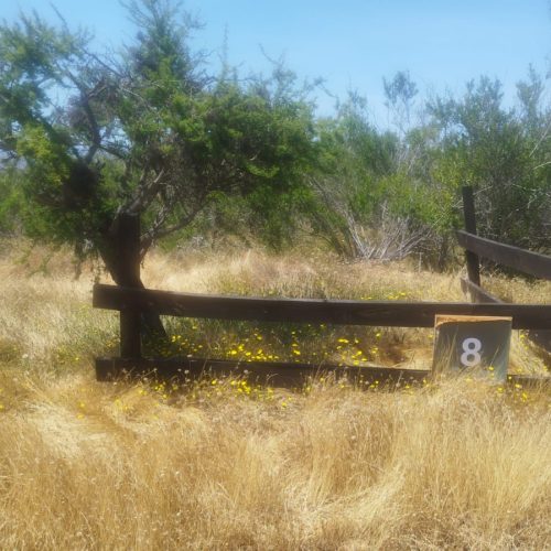 WhatsApp Image 2025-12-02 at 10.55.26-4