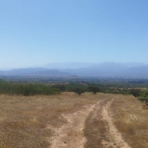 WhatsApp Image 2025-12-02 at 10.55.27-2