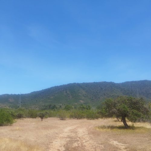 WhatsApp Image 2025-12-02 at 10.55.27-3