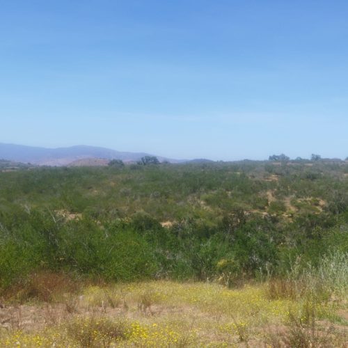 WhatsApp Image 2025-12-02 at 10.55.27-4