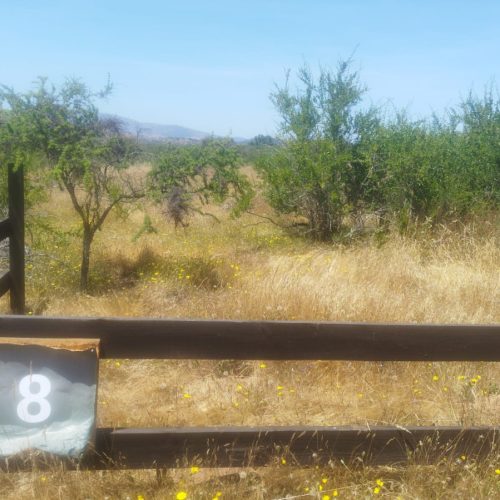 WhatsApp Image 2025-12-02 at 10.55.28