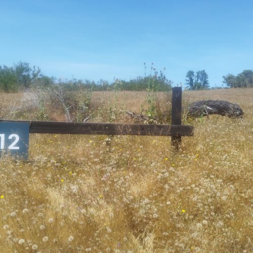 WhatsApp Image 2025-12-02 at 10.55.29-5