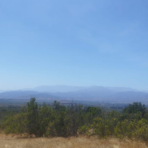 WhatsApp Image 2025-12-02 at 10.55.30