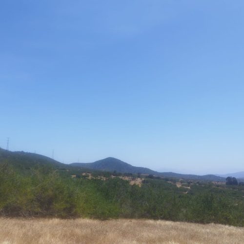 WhatsApp Image 2025-12-02 at 10.55.30-2