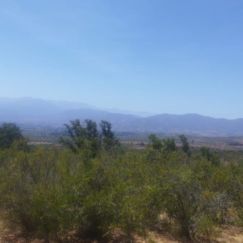 WhatsApp Image 2025-12-02 at 10.55.30-3