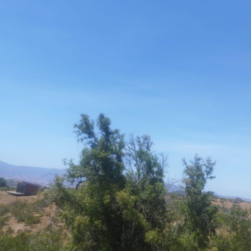 WhatsApp Image 2025-12-02 at 10.55.30-4