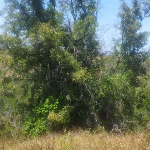 WhatsApp Image 2025-12-02 at 10.55.31