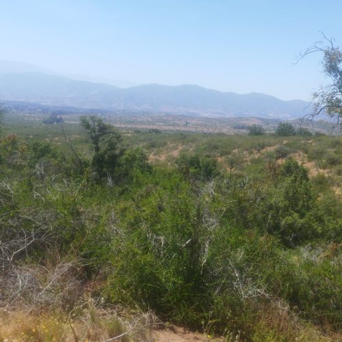 WhatsApp Image 2025-12-02 at 10.55.31-2