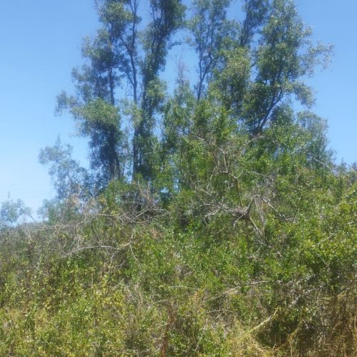 WhatsApp Image 2025-12-02 at 10.55.31-3