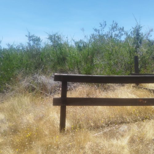 WhatsApp Image 2025-12-02 at 10.55.31-5