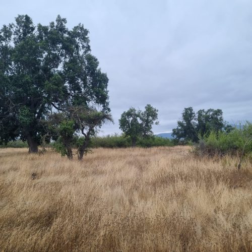 WhatsApp Image 2025-12-10 at 10.07.37