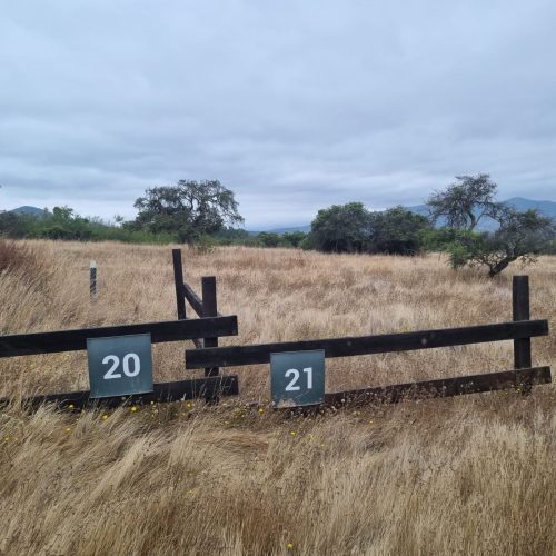 WhatsApp Image 2025-12-10 at 10.08.15