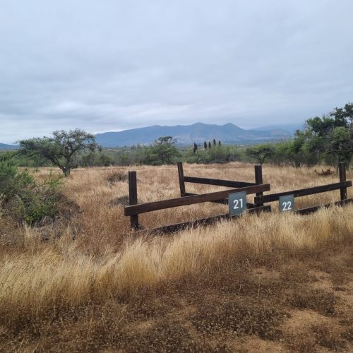 WhatsApp Image 2025-12-10 at 10.10.51