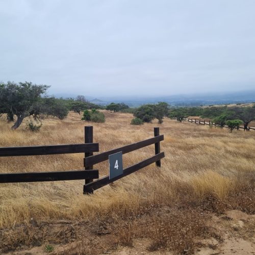 WhatsApp Image 2025-12-10 at 10.16.38